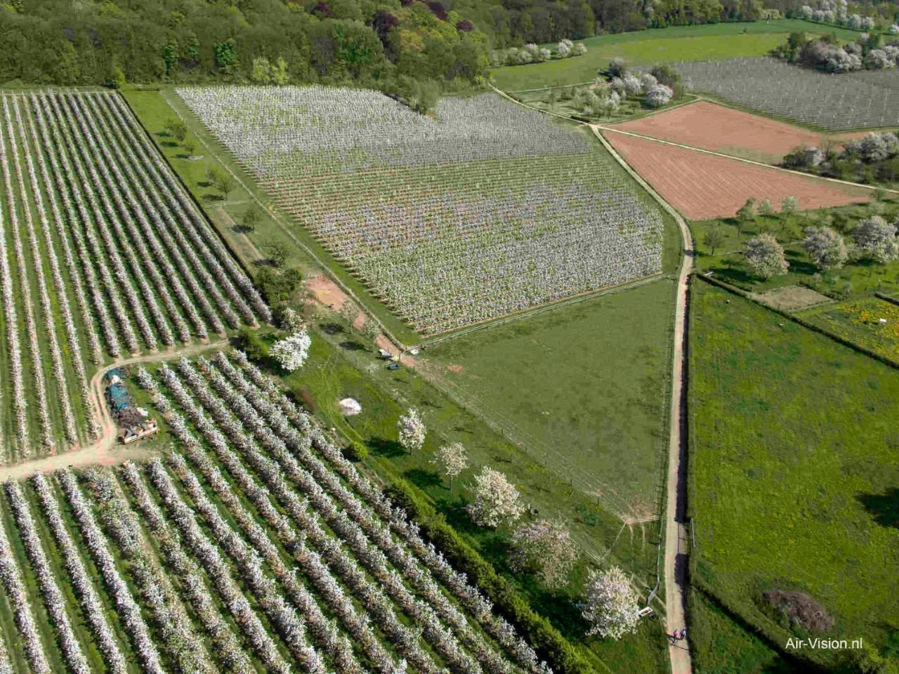B&B - Eetcafe - Riekelt Gronsveld ภายนอก รูปภาพ
